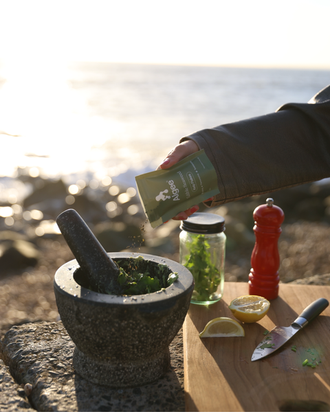 Zesty Guacamole with Algee Kelp Powder