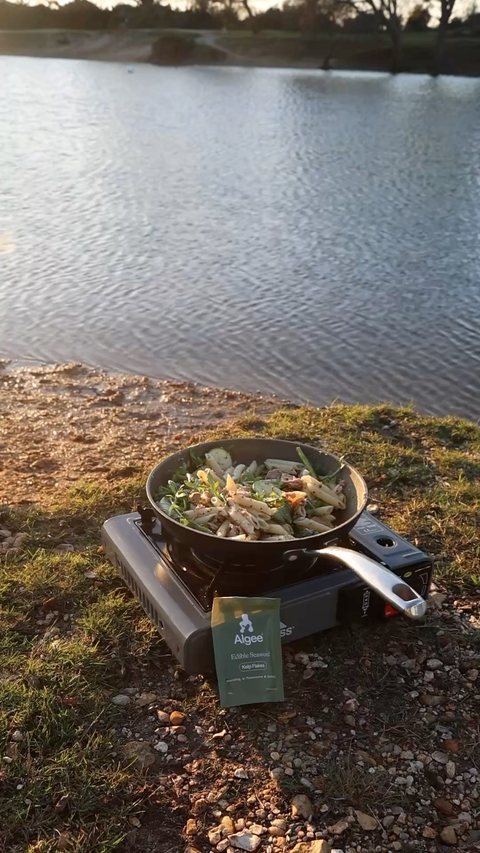 Simple Zingy Tuna and Courgette Pasta with Algee Kelp Flakes